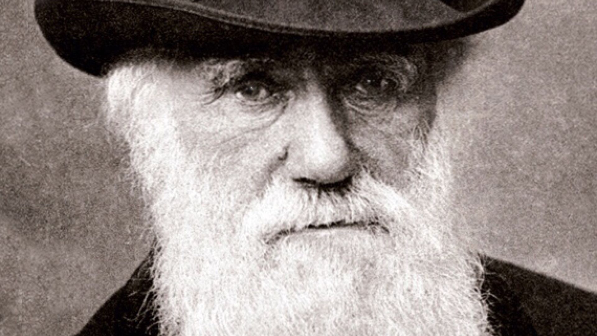 File:Charles Darwin 1880.jpg