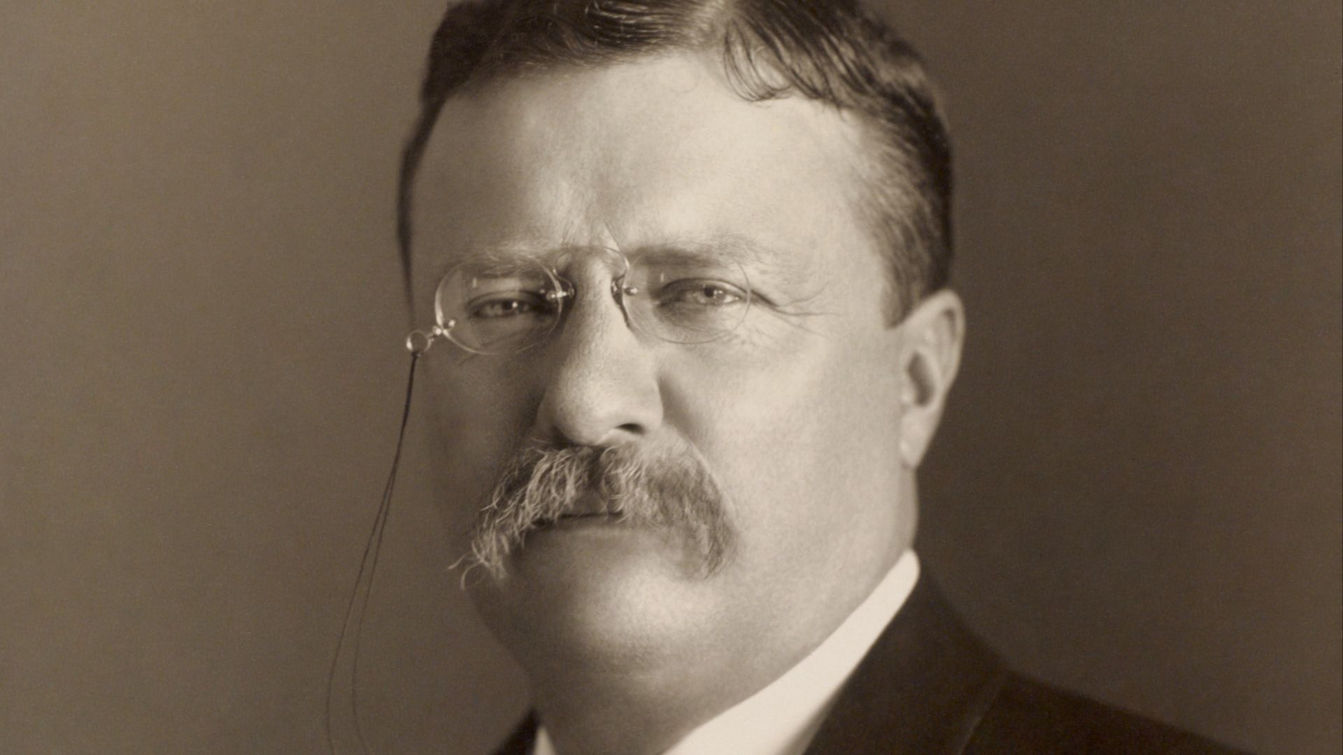 File:Theodore Roosevelt by the Pach Bros.jpg