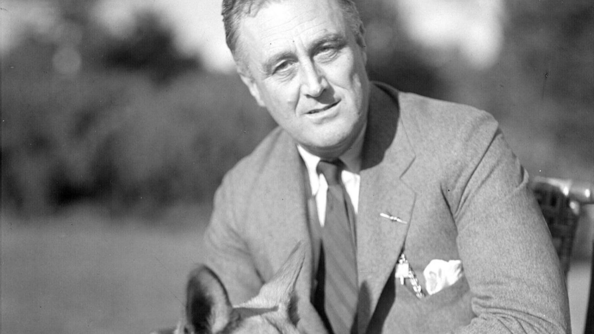 File:Franklin D. Roosevelt with his German Shepherd Major.jpg