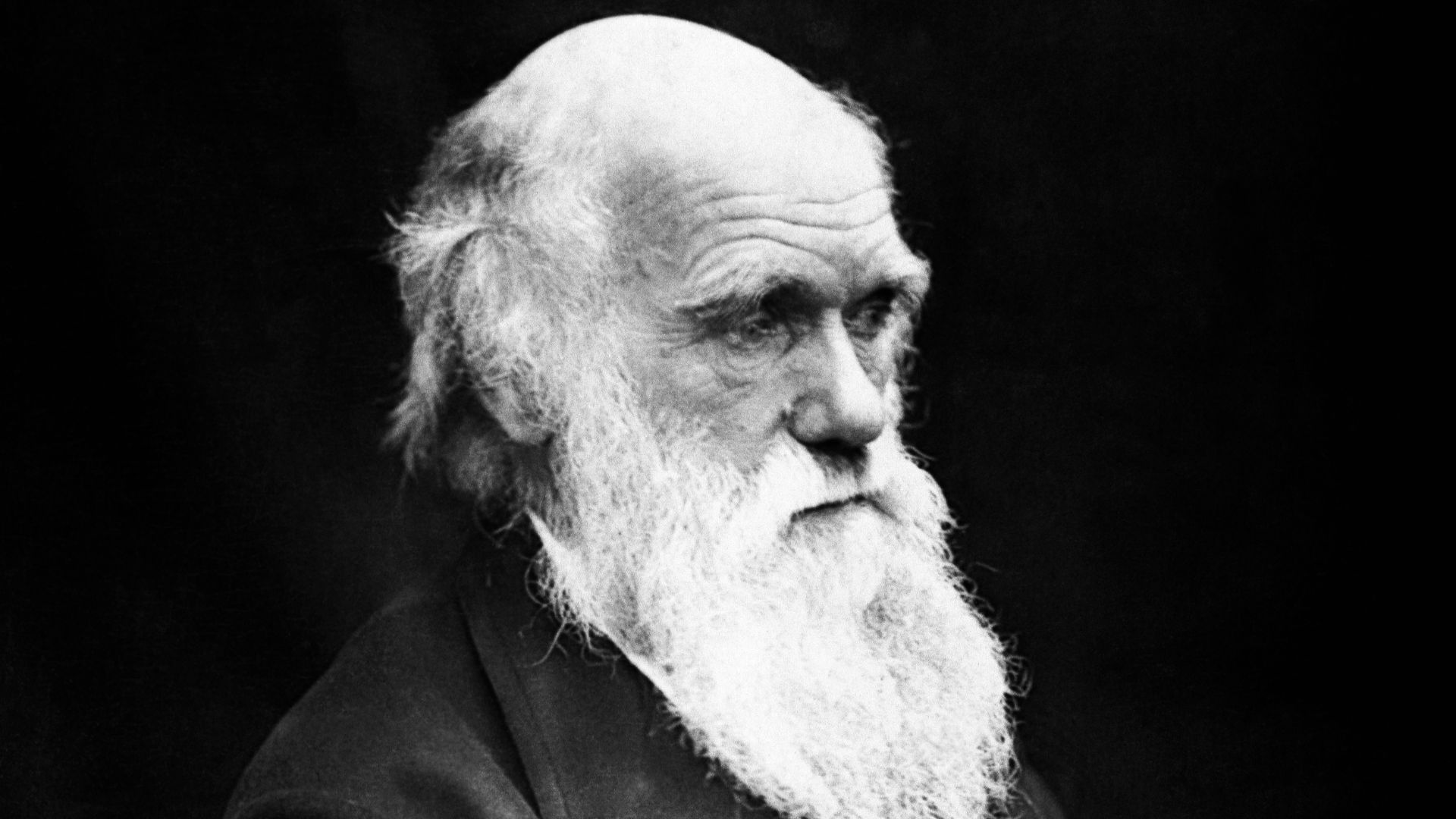 File:Charles Darwin 01.jpg