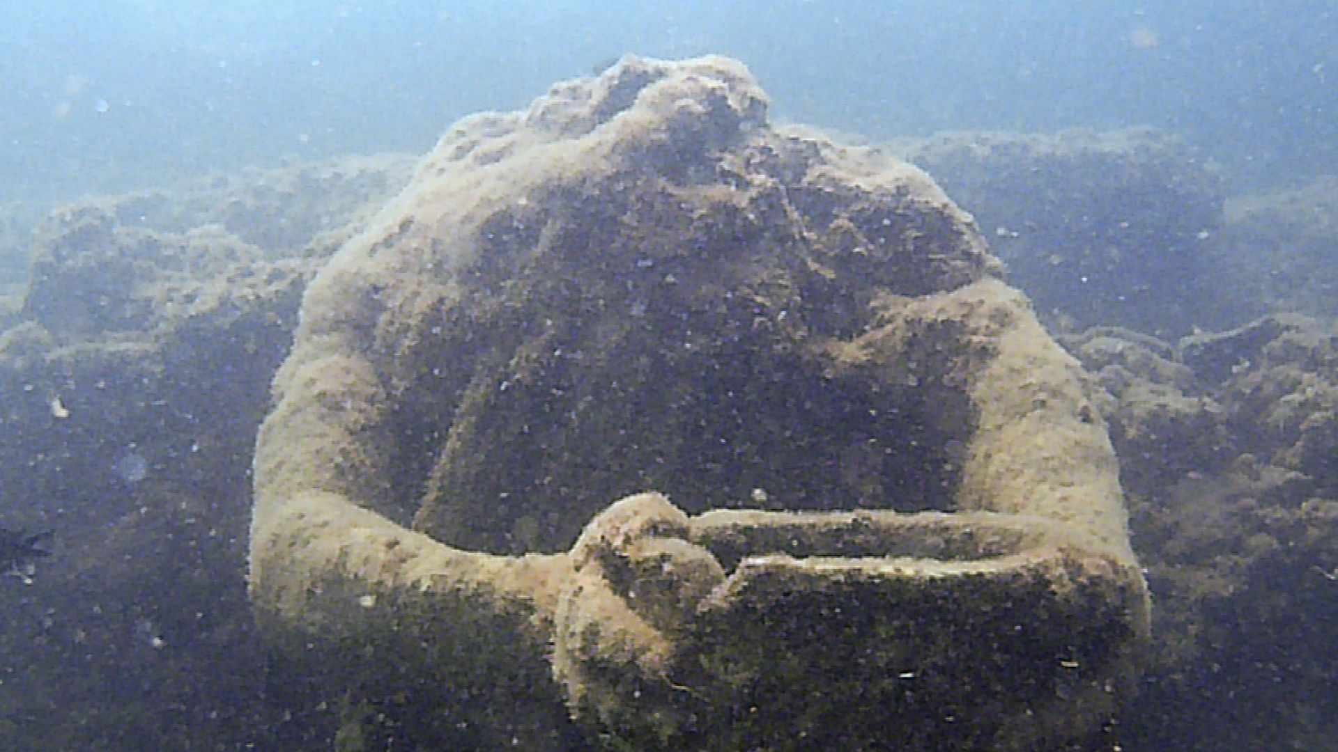 File:Parco archeologico di Baia - Ninfeo punta Epitaffio - statua Ulisse che regge la coppa.jpg