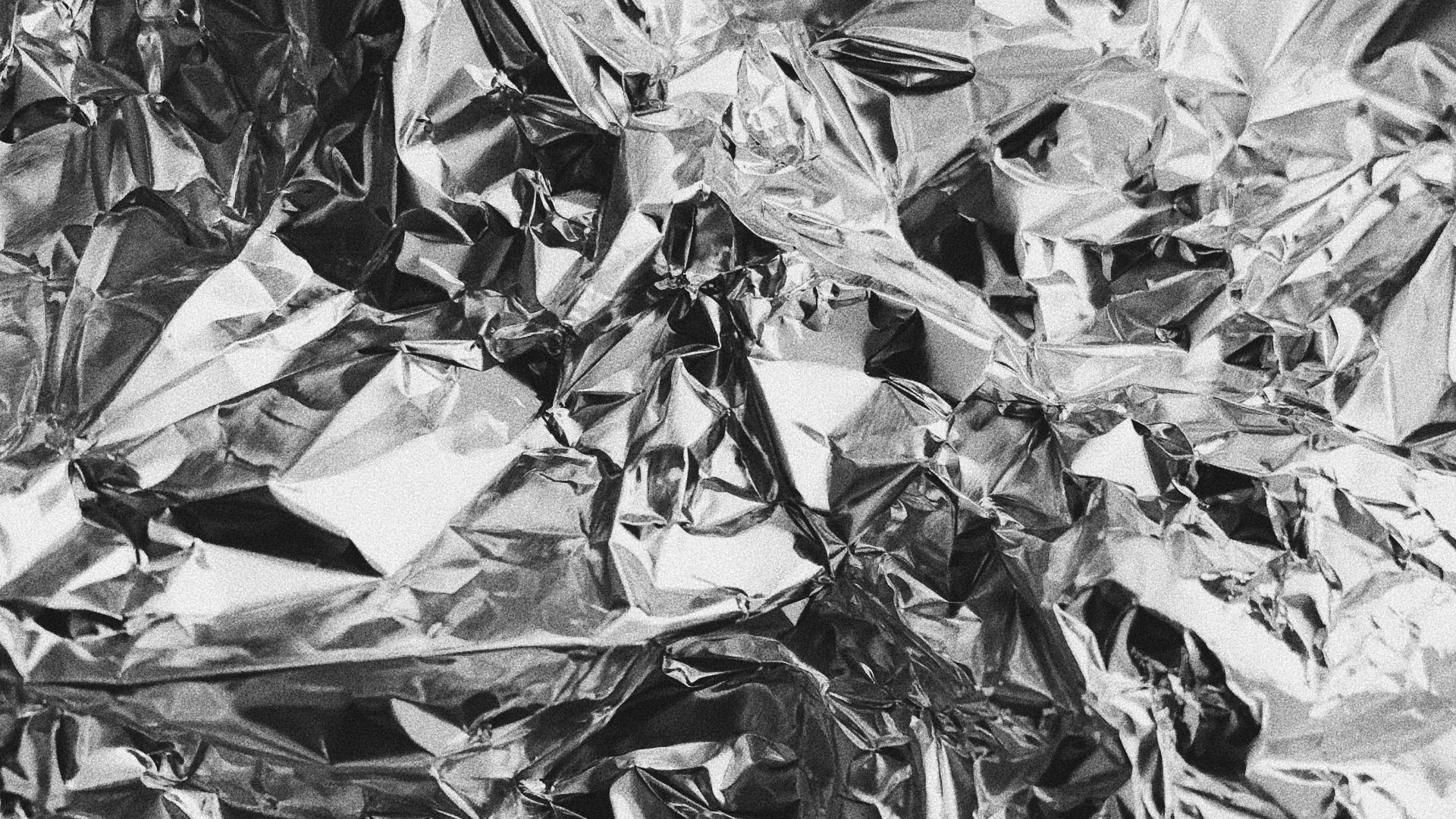 grayscale photo of leaves on ground
