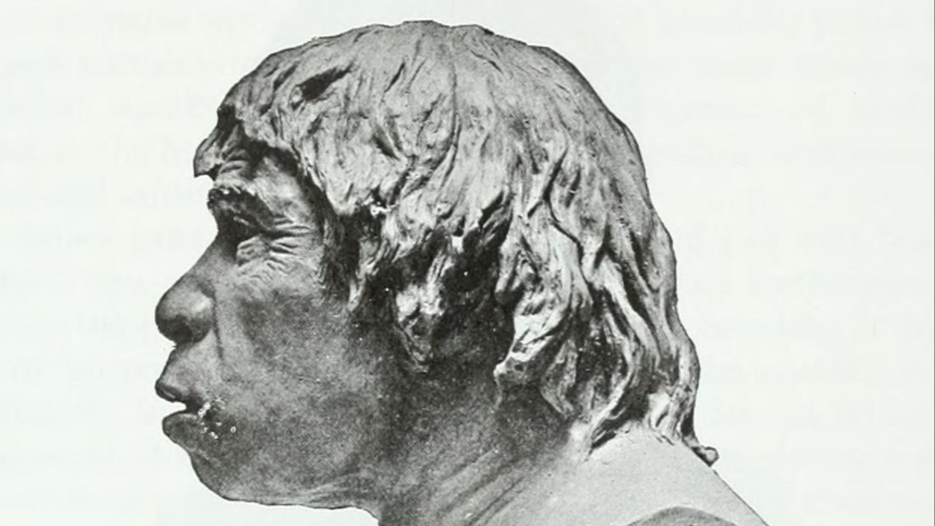 File:Piltdown Man - McGregor model.jpg