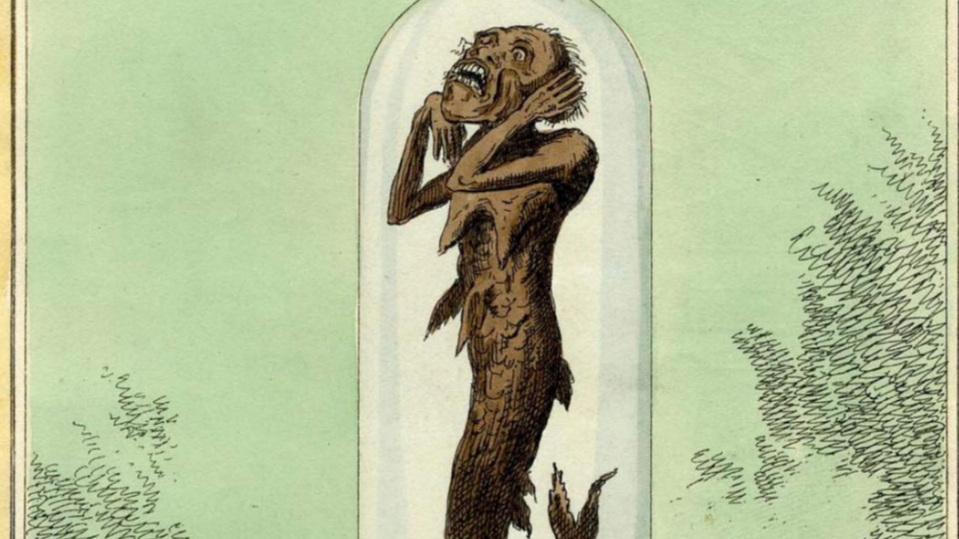 File:Fiji mermaid 1822 ad.jpg