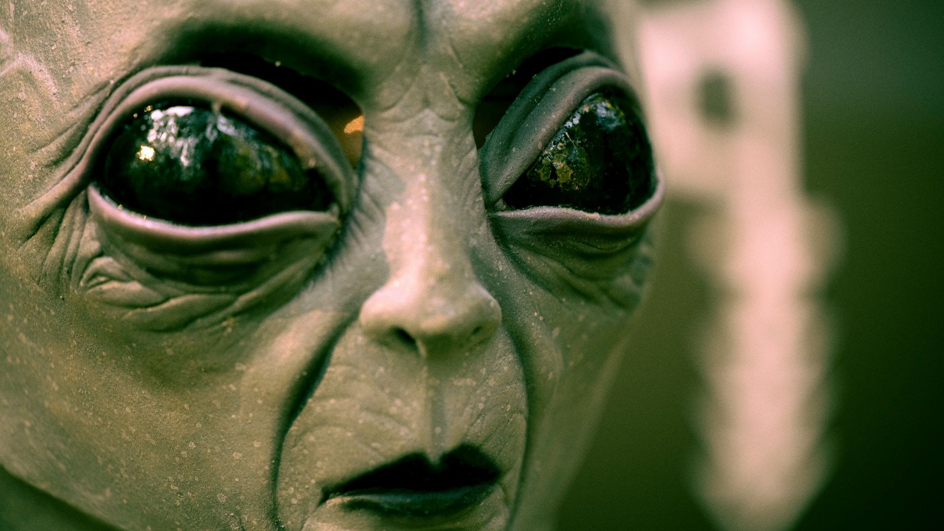 gray scale photo of human face