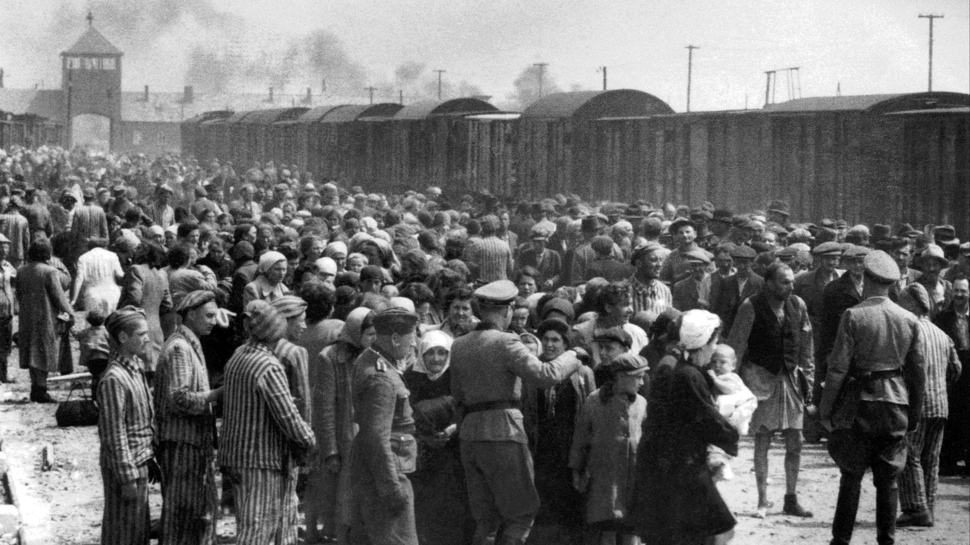 File:Selection on the ramp at Auschwitz-Birkenau, 1944 (Auschwitz Album) 1b.jpg