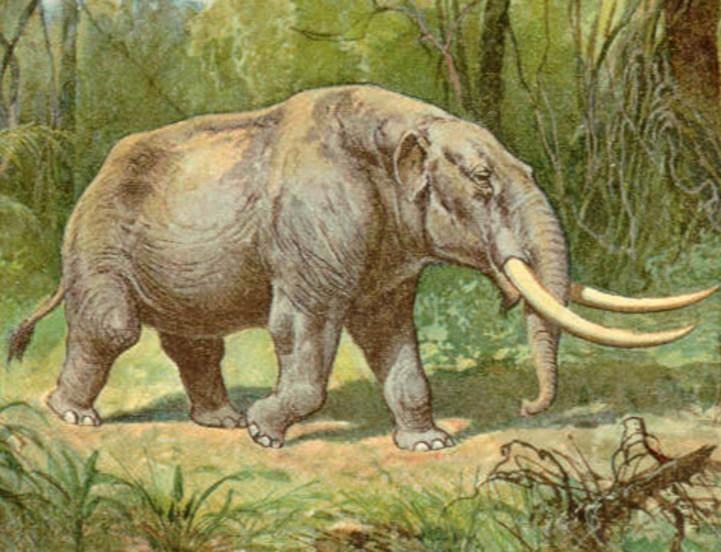 20 Prehistoric Animals That Shared The Planet With Our Ancestors ...