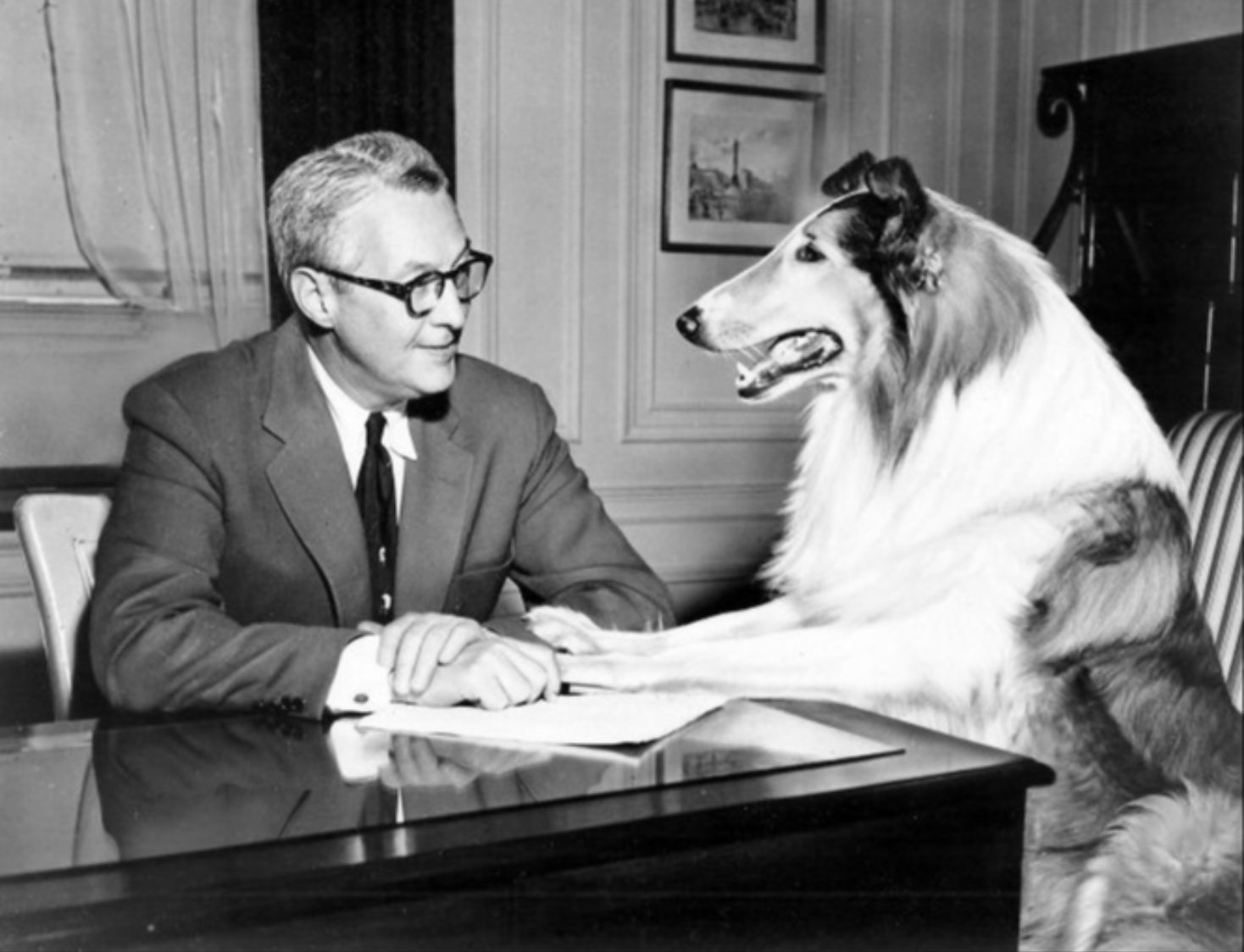 20 Most Famous Dogs In History - HistorySnob