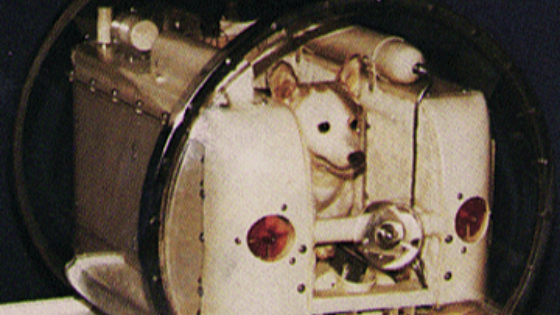 17793942333762b4ce5e8b5006f8bf4a46ac43c23b1b548480.gif