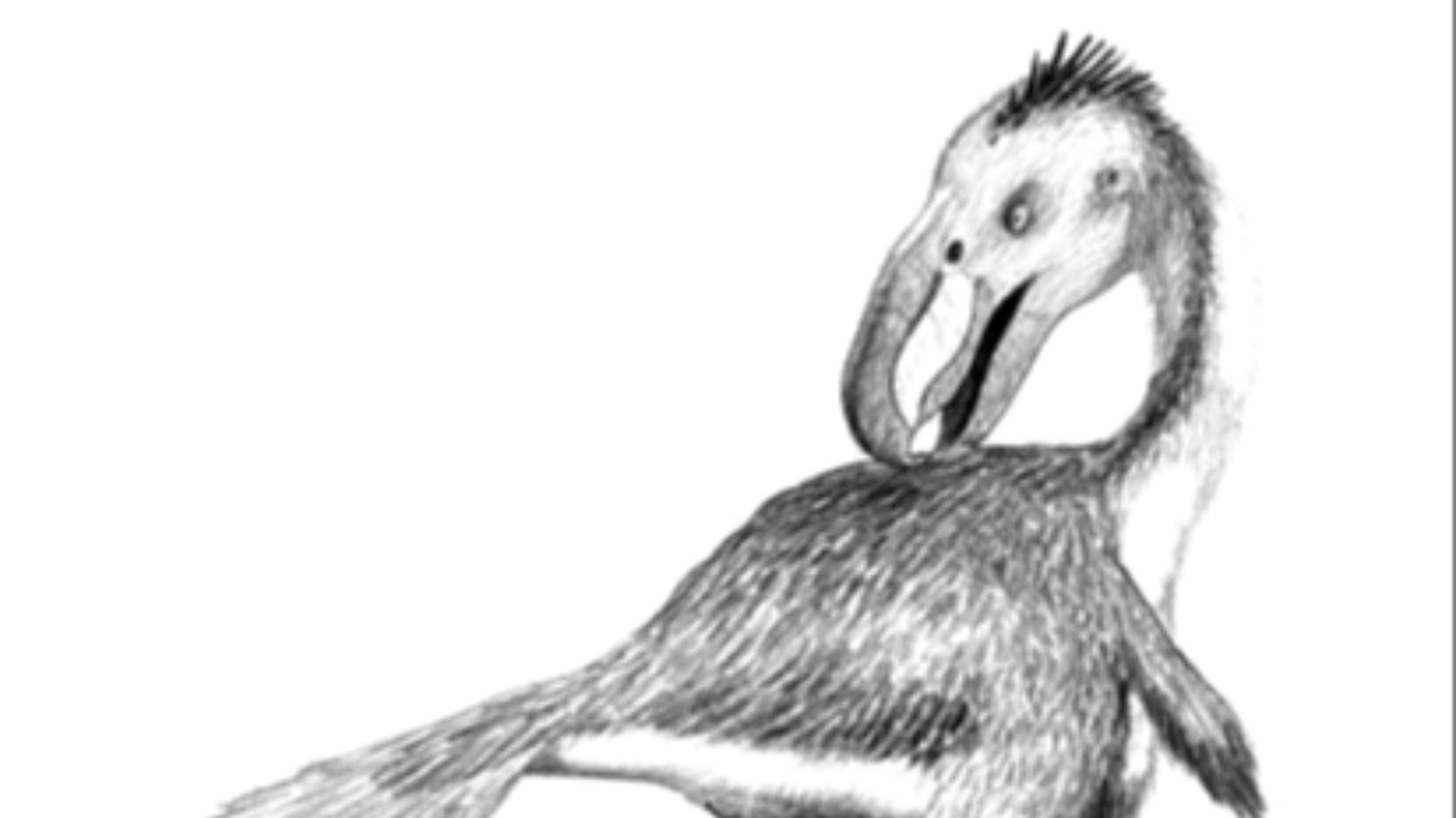 17780957062e04efb0c2b8cefd4e3af9fb47096d32a61d8eb7.png