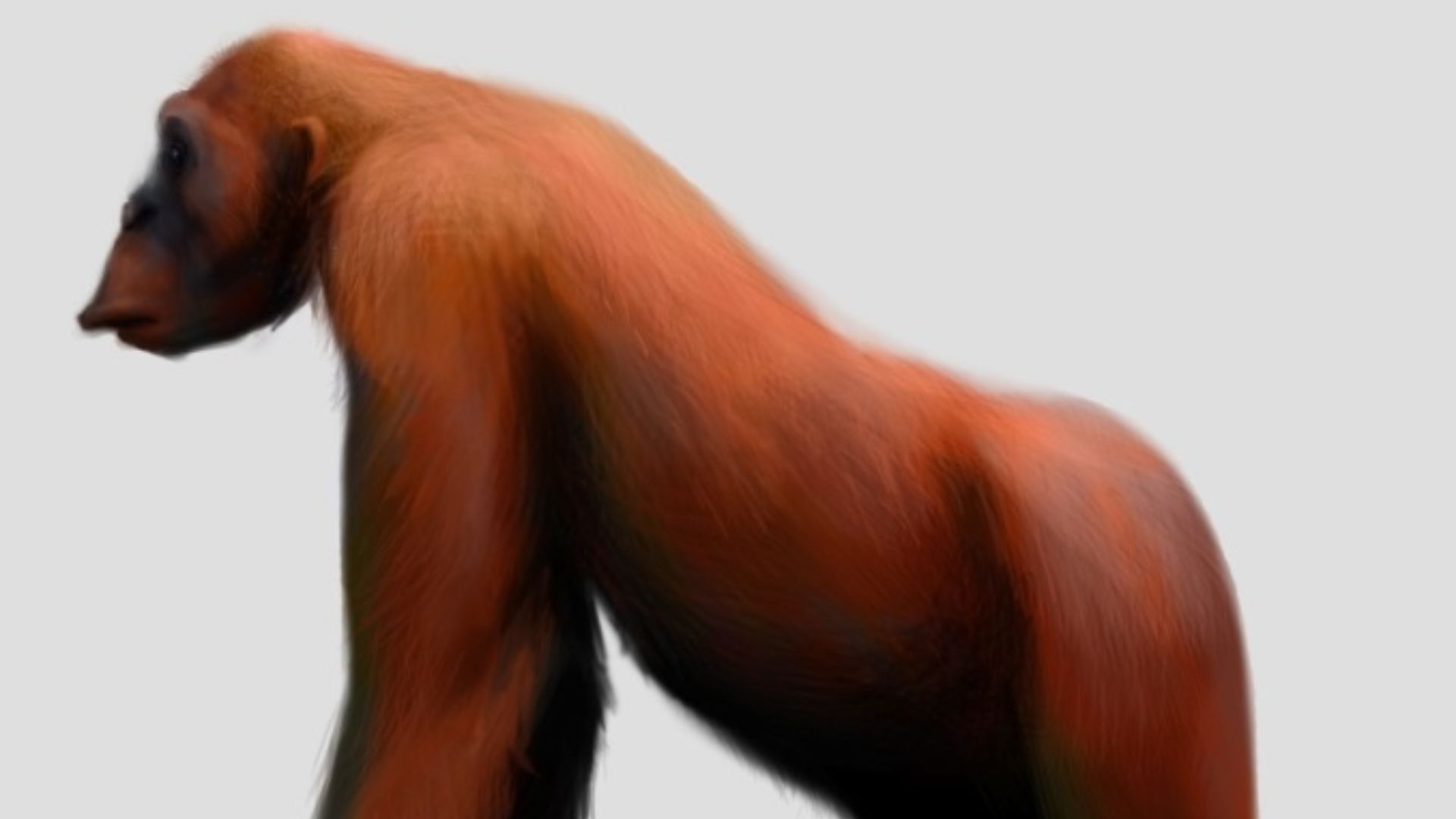 1778099502c7502184b67ab768e057d4dc624ff2163f507a17.jpg