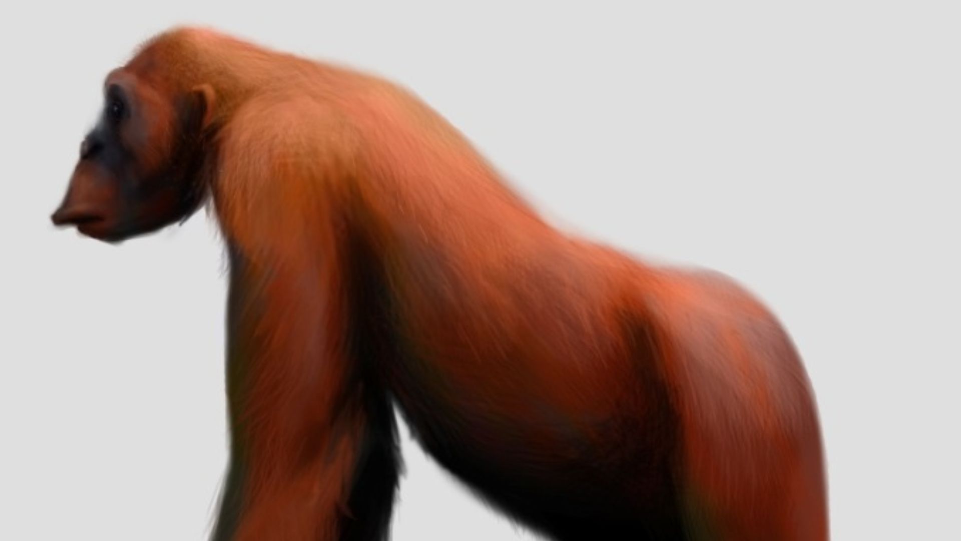 1778257580c7502184b67ab768e057d4dc624ff2163f507a17.jpg