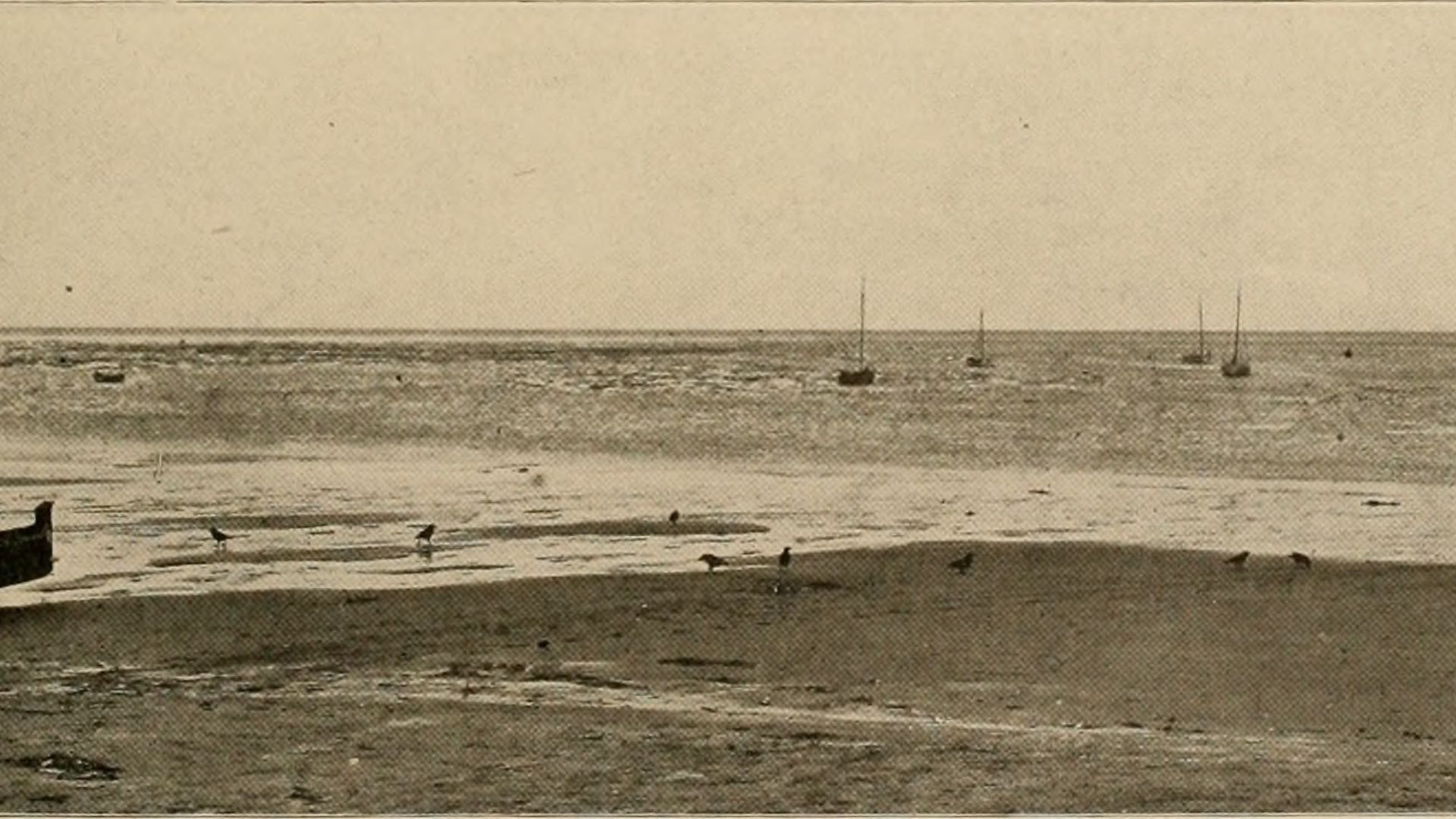 1780330575b8dcc08735e0779a7a23333b62e6900b81a7bb0d.jpg
