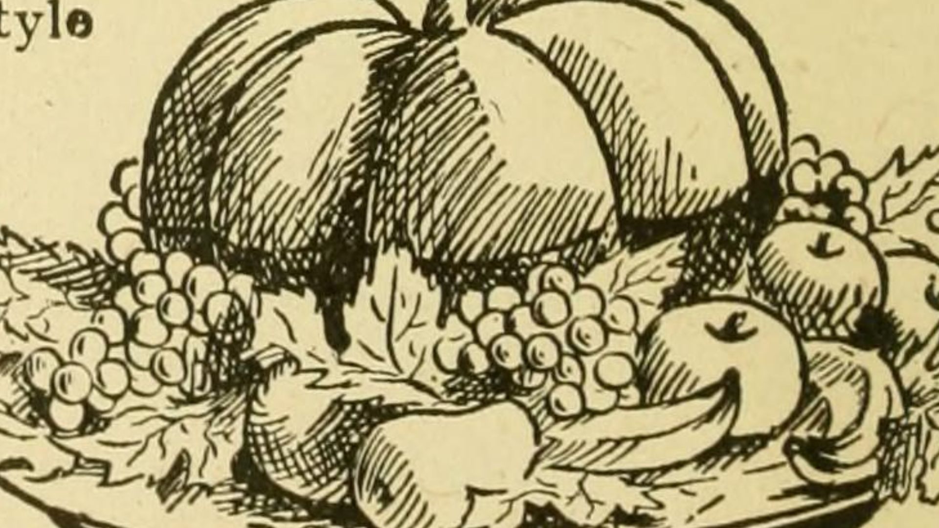 1781292829950242743a38a1039fc68cba53c407aee5508513.jpg