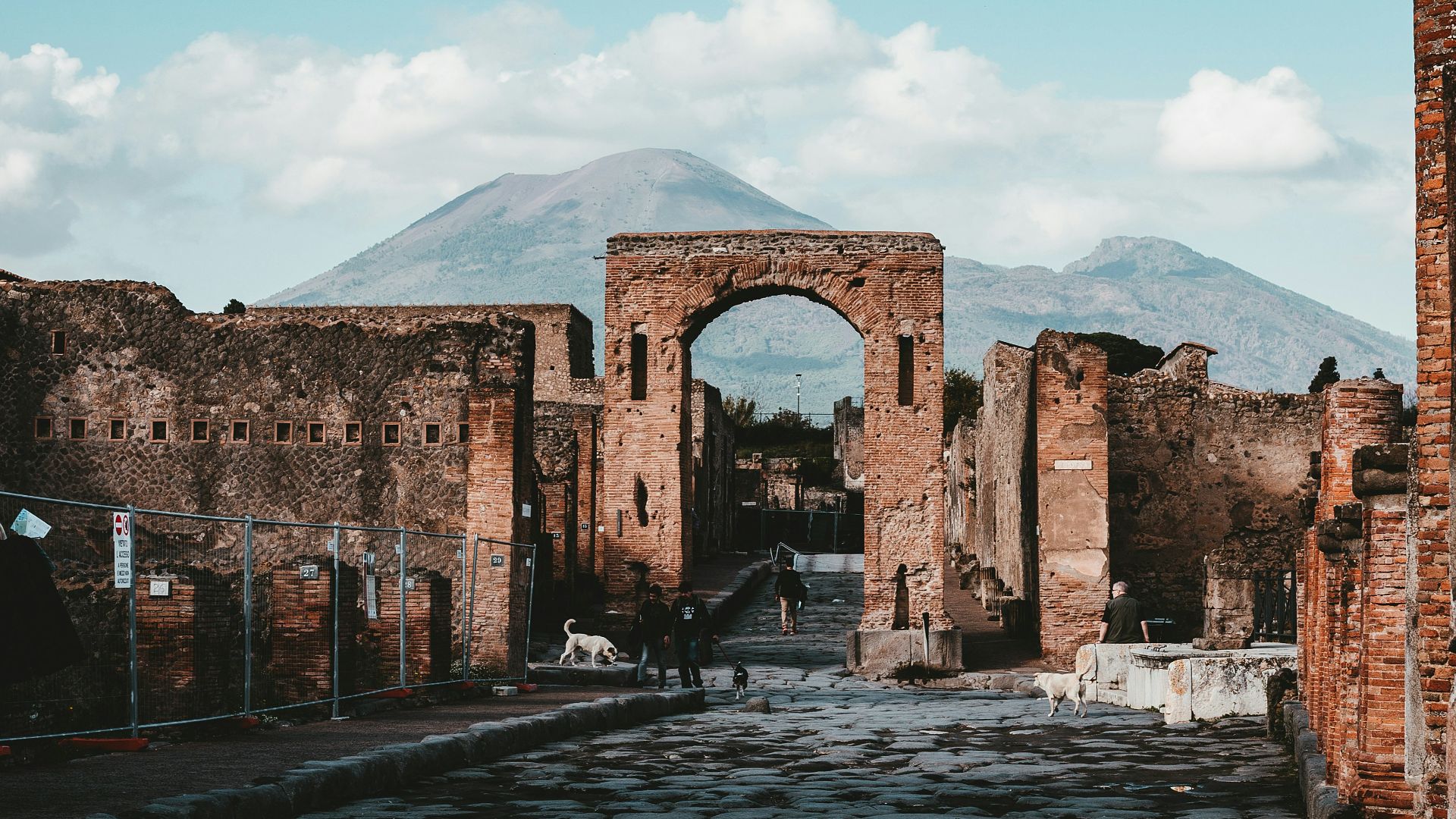 178155118060026f4eb4561b13e136e6d37ff731ca2e629682.jpg