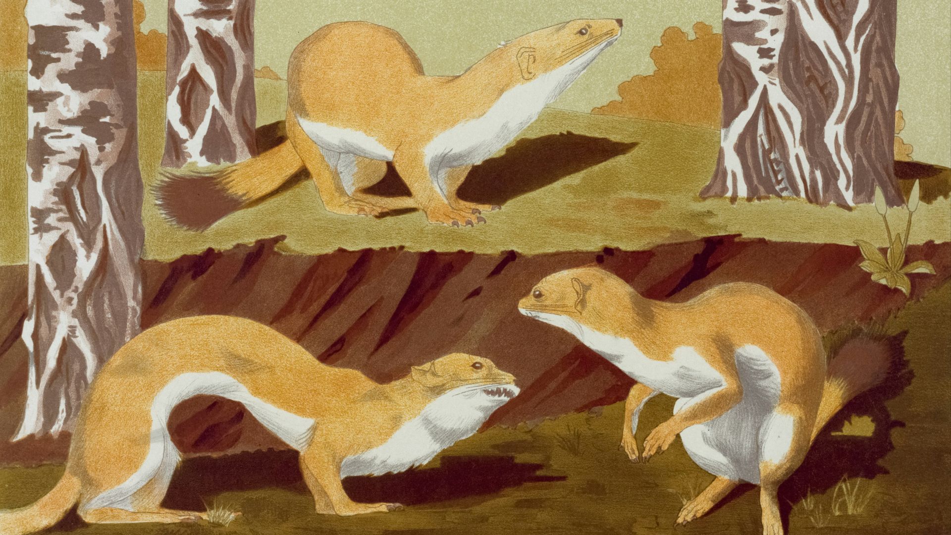 17818117467256e8717b70b49076b13416e81ca7843f124486.jpg