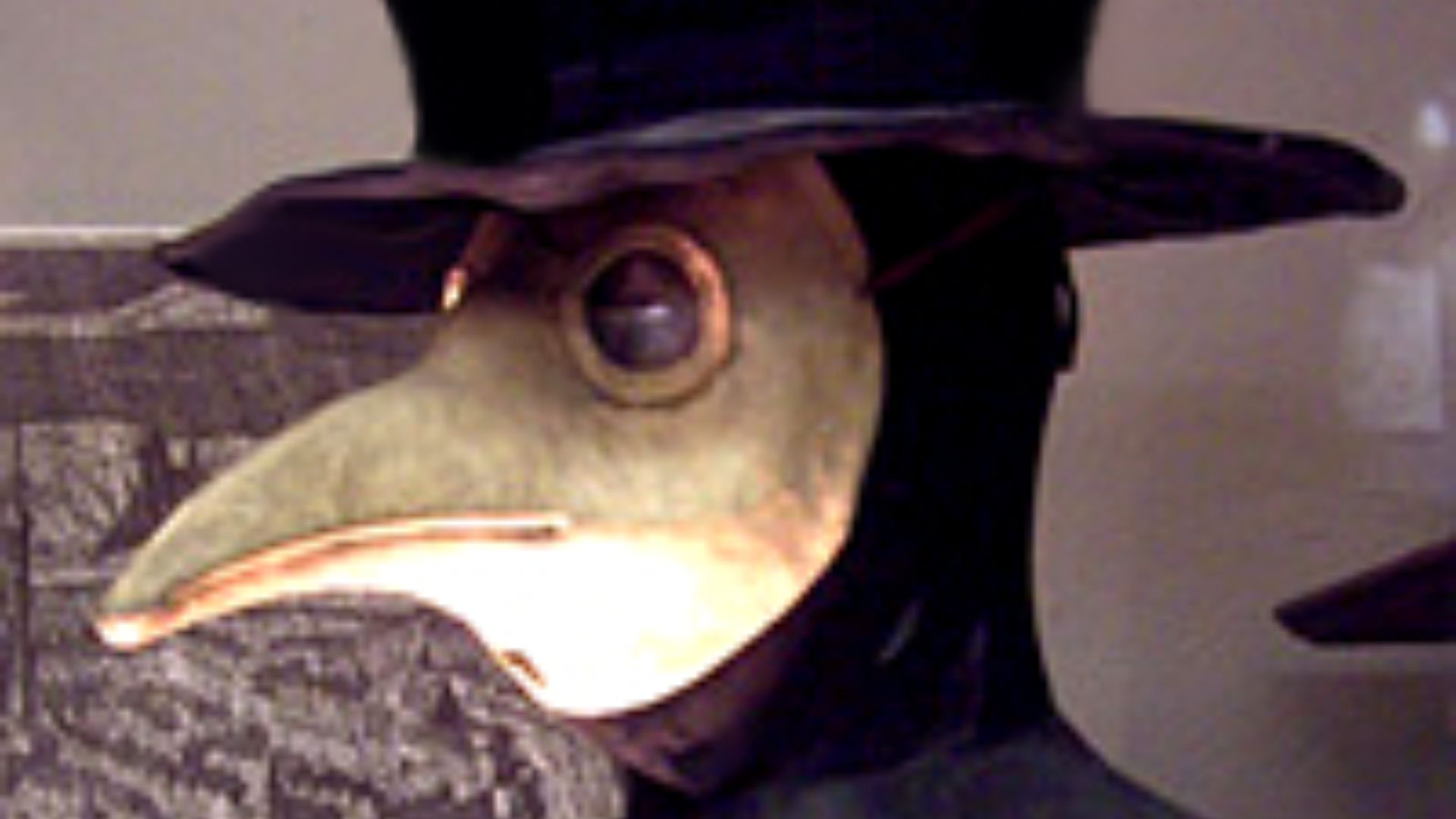 17818981794a62ad0ae8749711bb484b174c8b68c66e9ede2d.jpg
