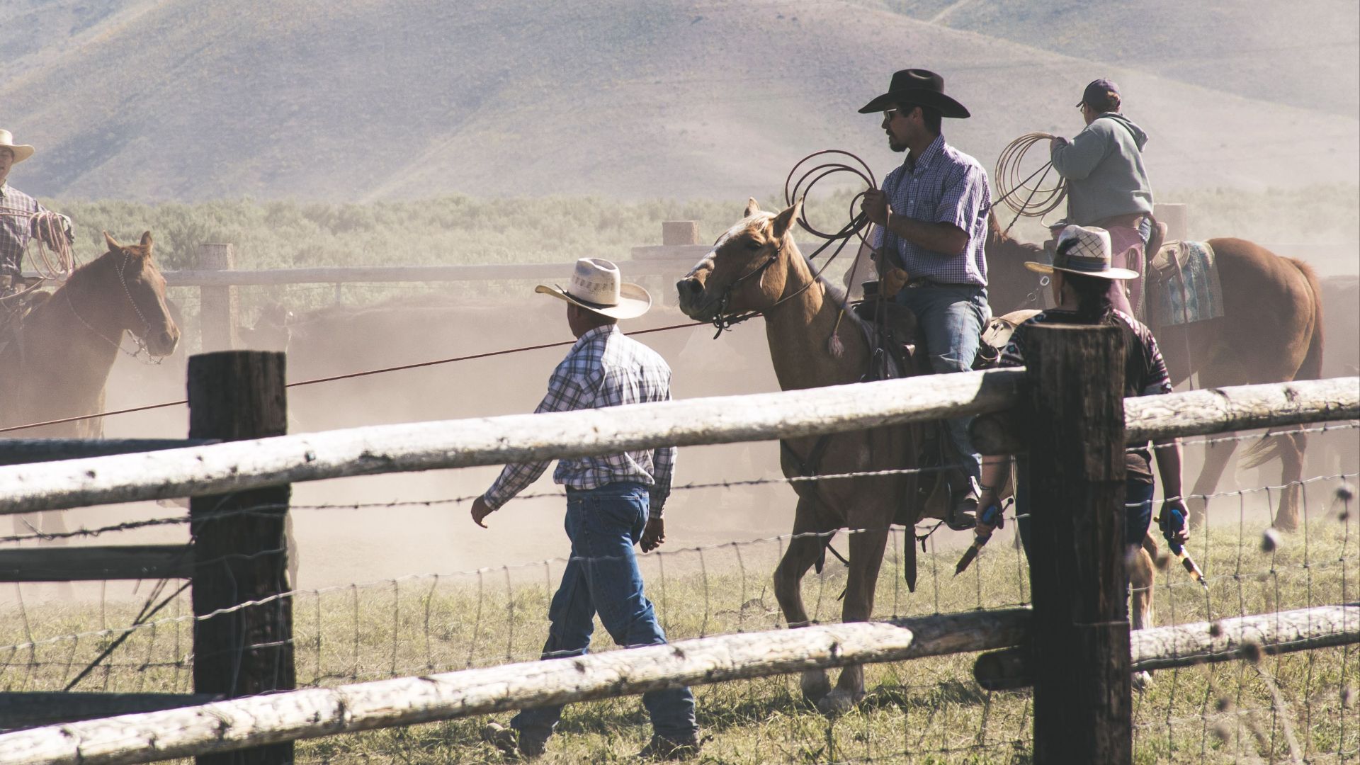 1782323988b93cc810062e875d876fb0115a1691f6fcf33bbc.jpeg
