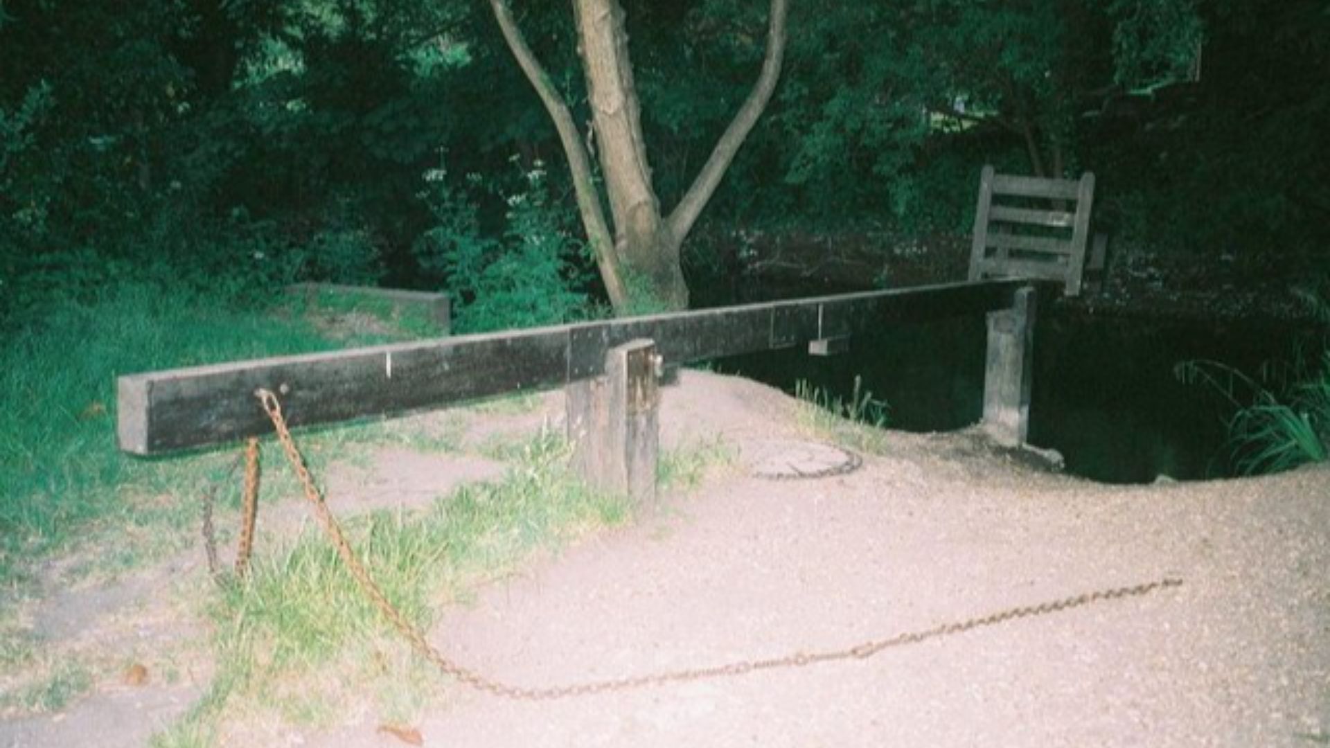 17804986357d51b38d98115372d25a31a5d6fc5ede1bb38a88.jpg