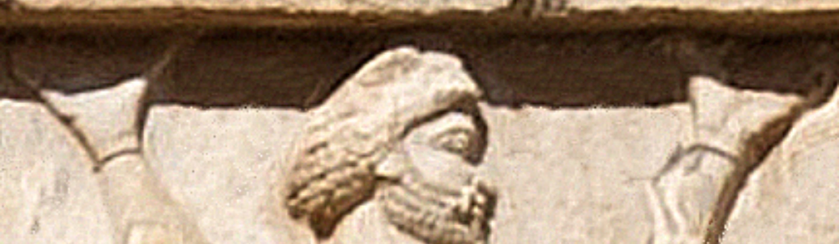 1783975113ed3140ff429163721cebee4d2f19aa0ff26397f1.jpg