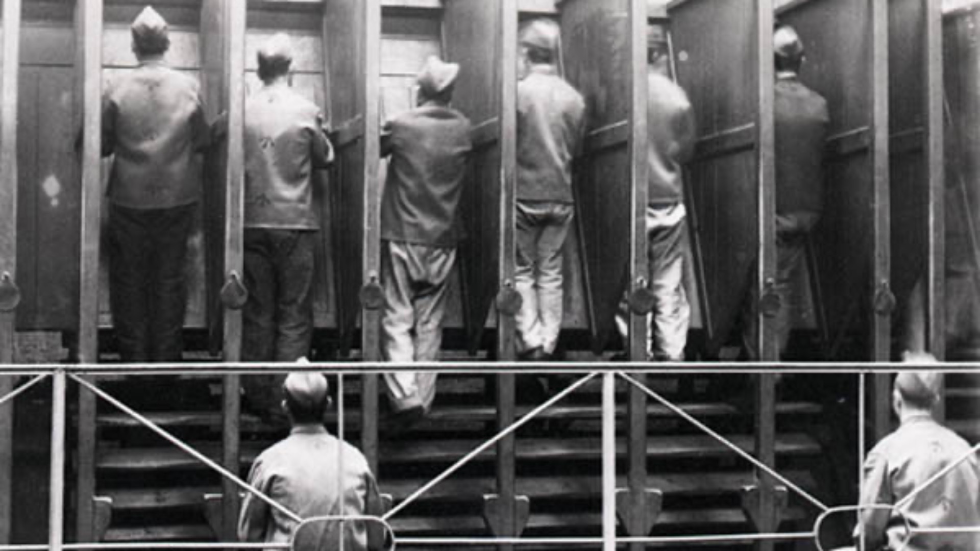 1784154040b5cf1921d8191c09e4643c36c366bde193a556d0.jpg