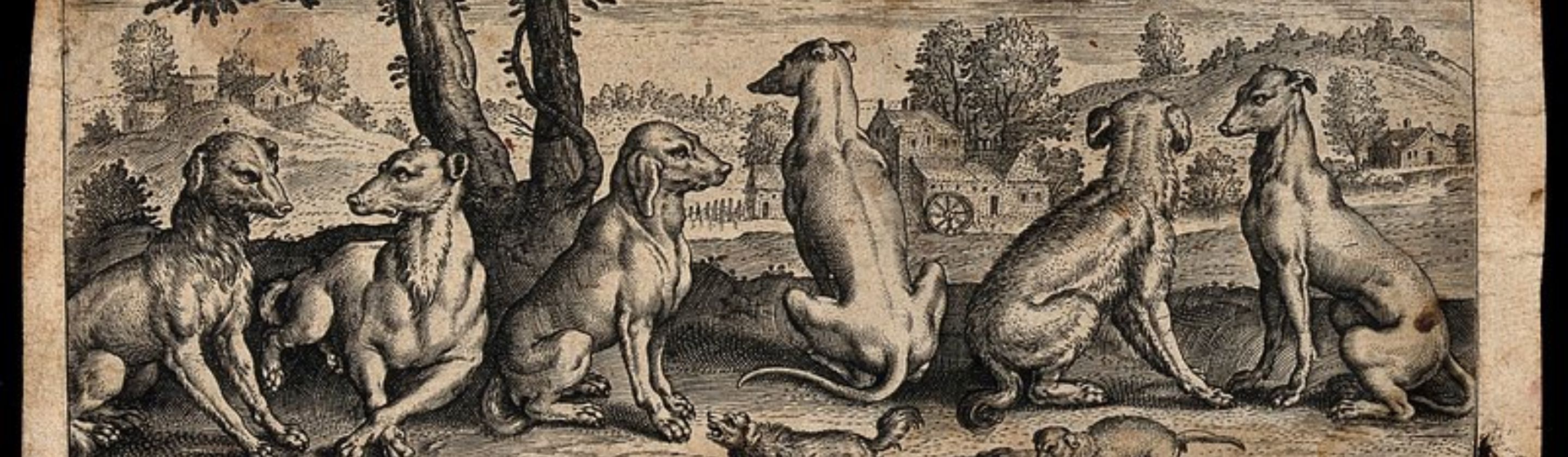 1784752207dfb440e0f45455c8ff238cf48c7740e5bc9875fe.jpg