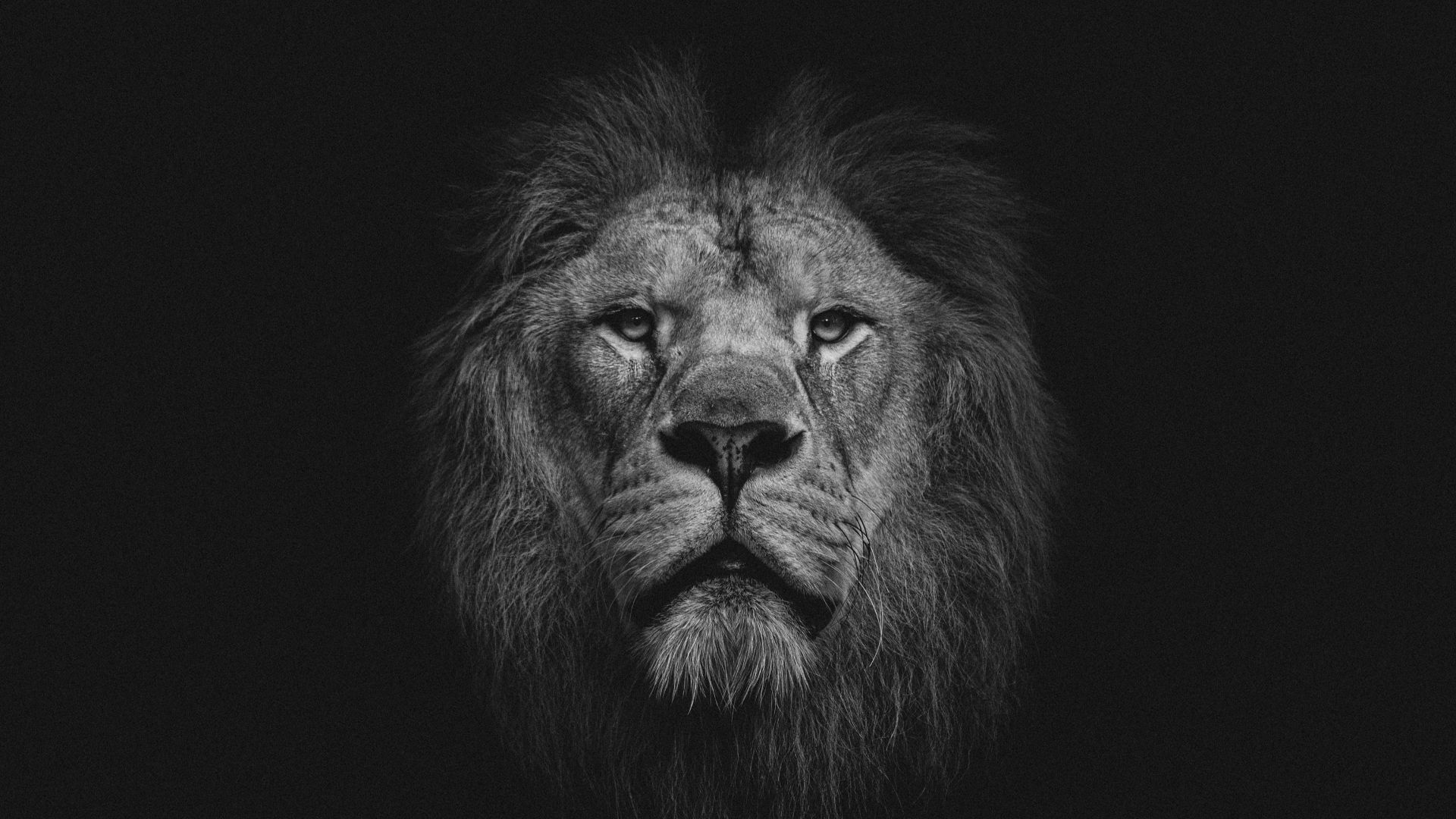 178491215182bf58a22f1f46e894dda070f3125fec05821b3d.jpg