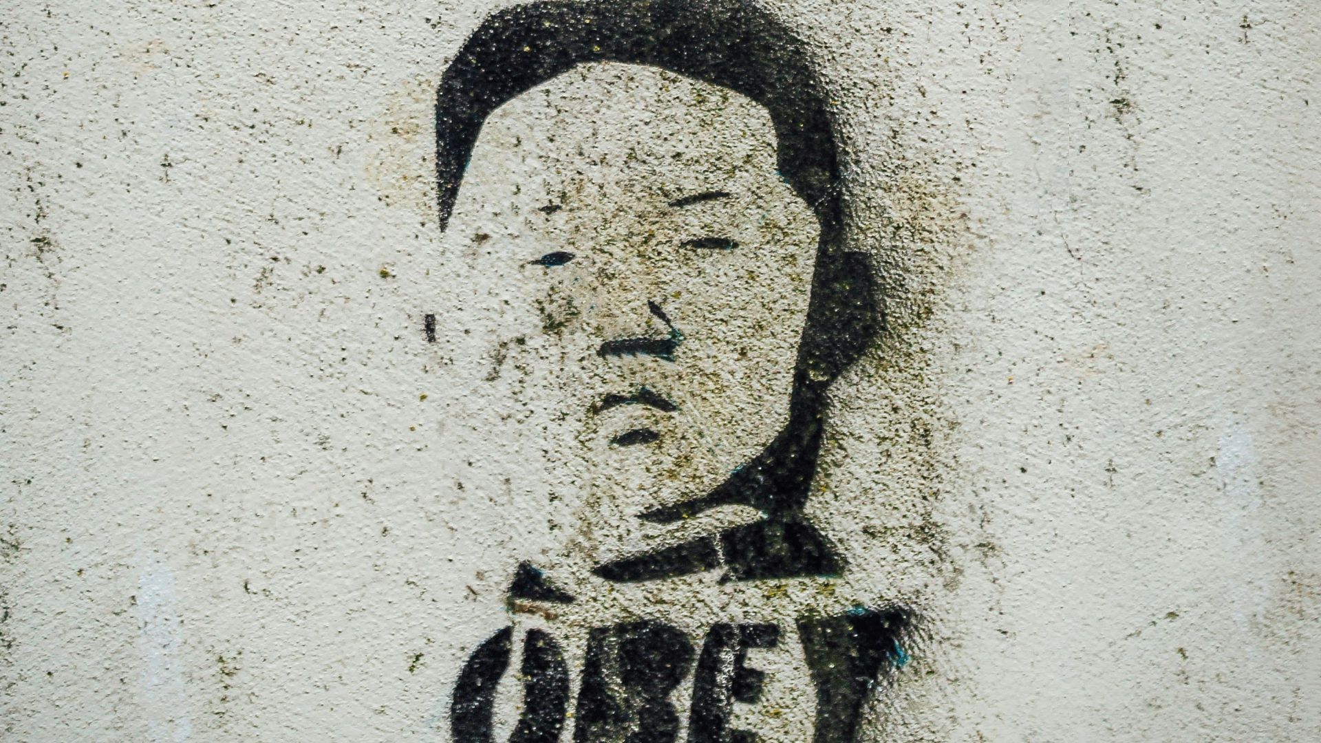 17849201661aa5f2bef2e6f678557fd85530cb17edeb4f3998.jpg