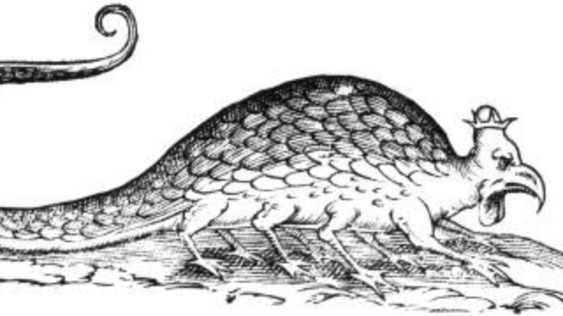 178335026276a221d425af936ada038b240c6576c4611b2b32.jpg