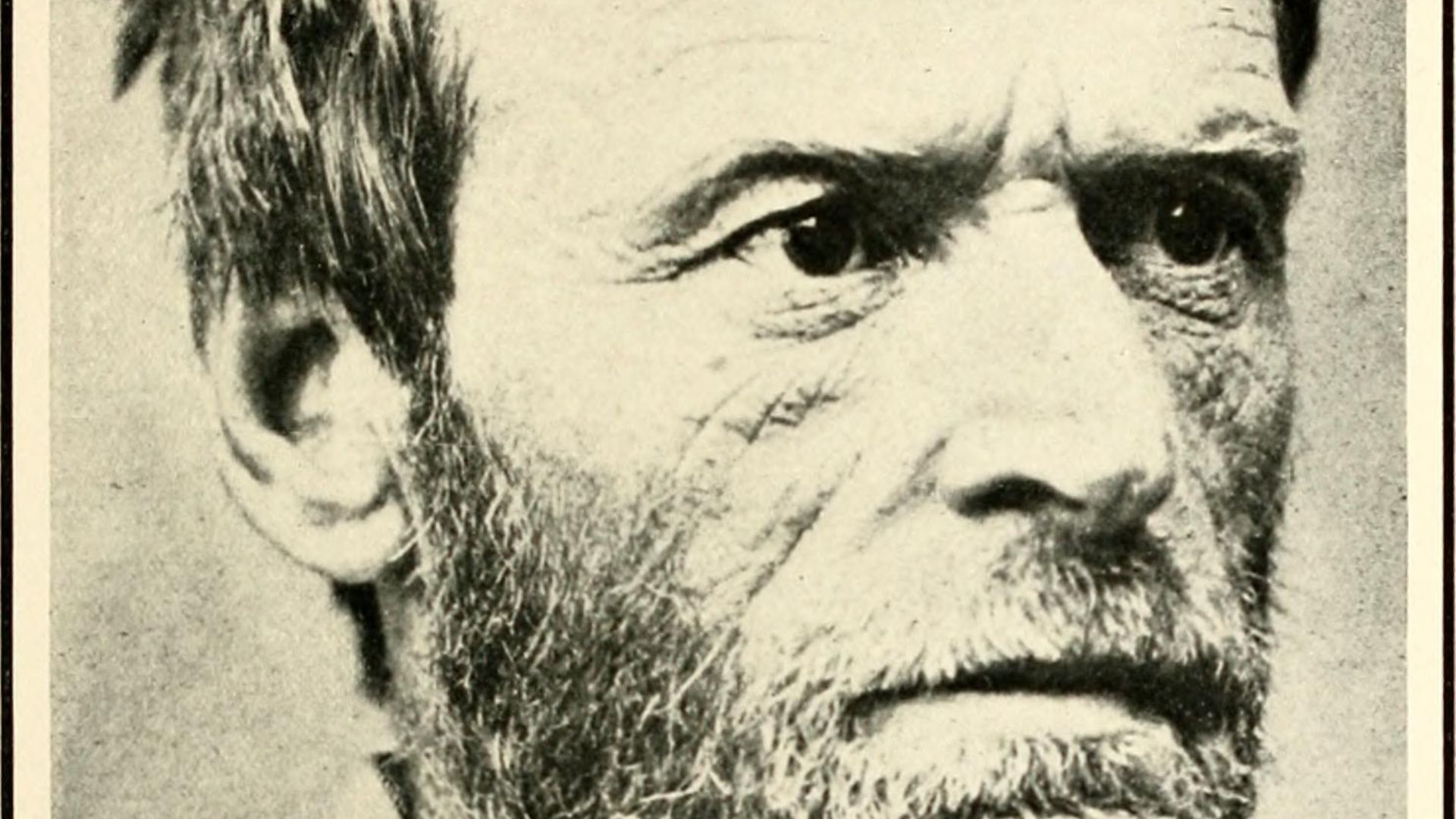 1783515305f0b5acde5b2799a818eb3a0b696f8a6eb33a7051.jpg