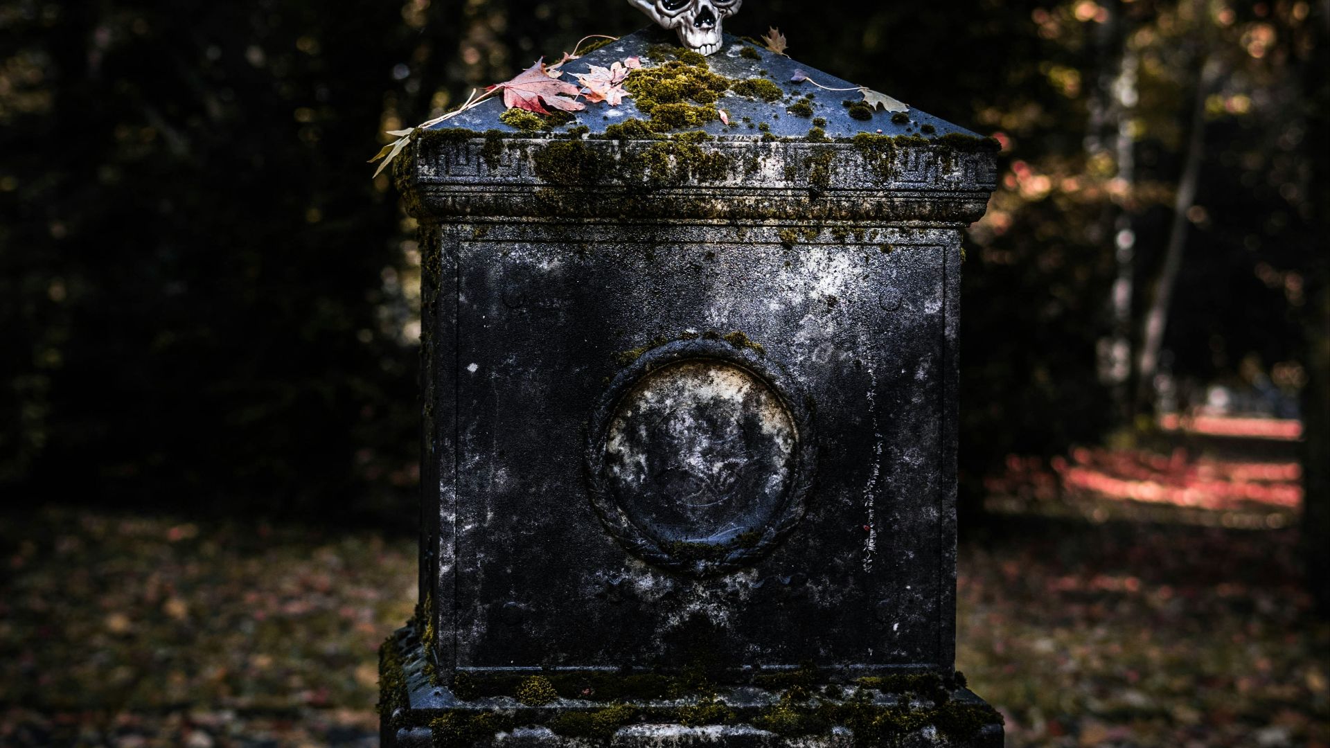17867374361be529a078de06efdfd4f99dd06b6aace3eacfb5.jpg