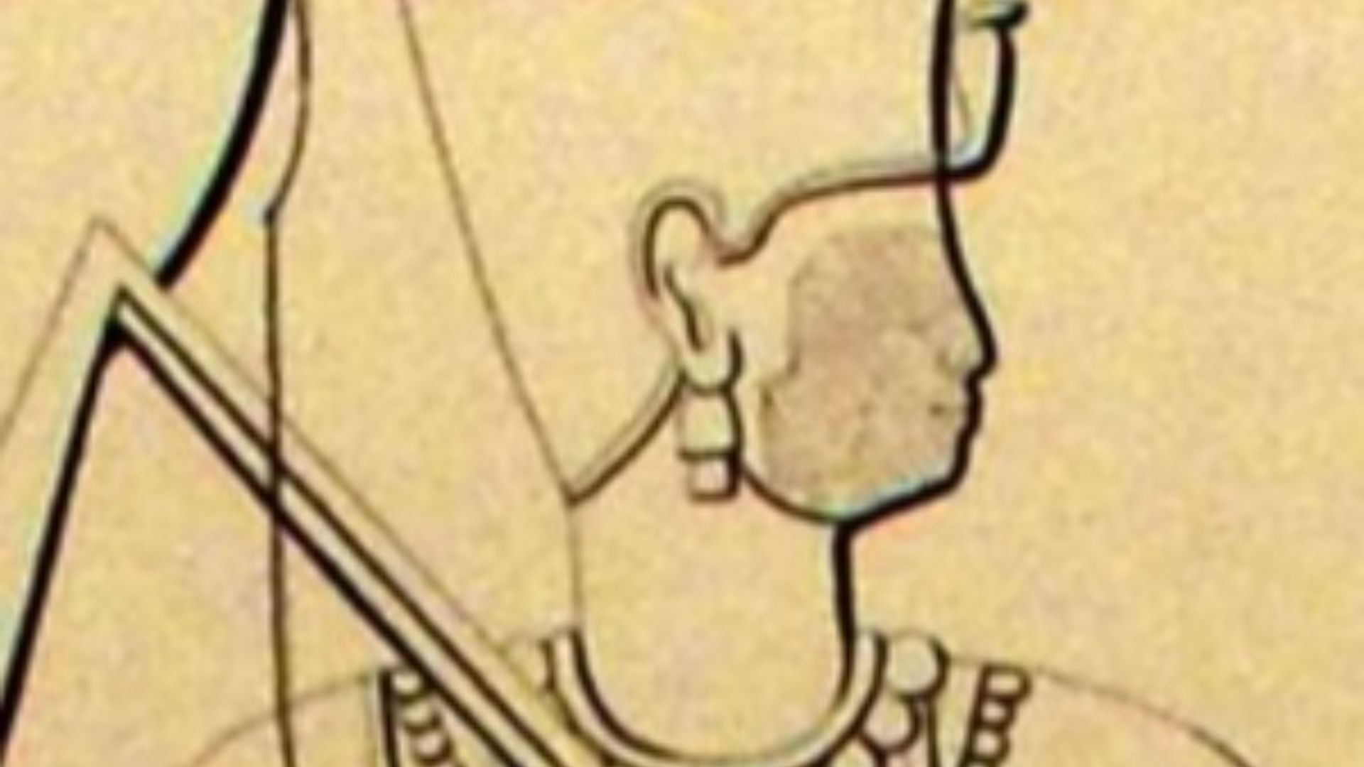 1786985850f48c0909f447a5d89d515f658d7d0dfd89b2897c.jpg