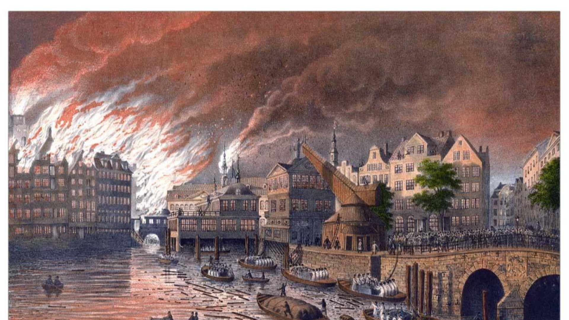 1787232480422b16d8d7af476150cb533048bf6f492d269ca9.jpg