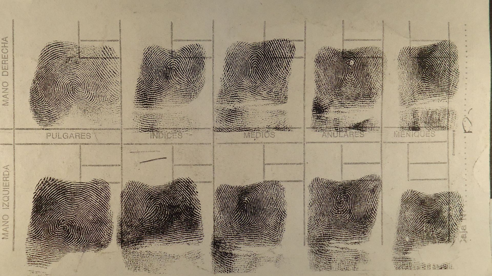 1787236692636fdbbcac3c2969ca6cf6e391090a617872c330.JPG