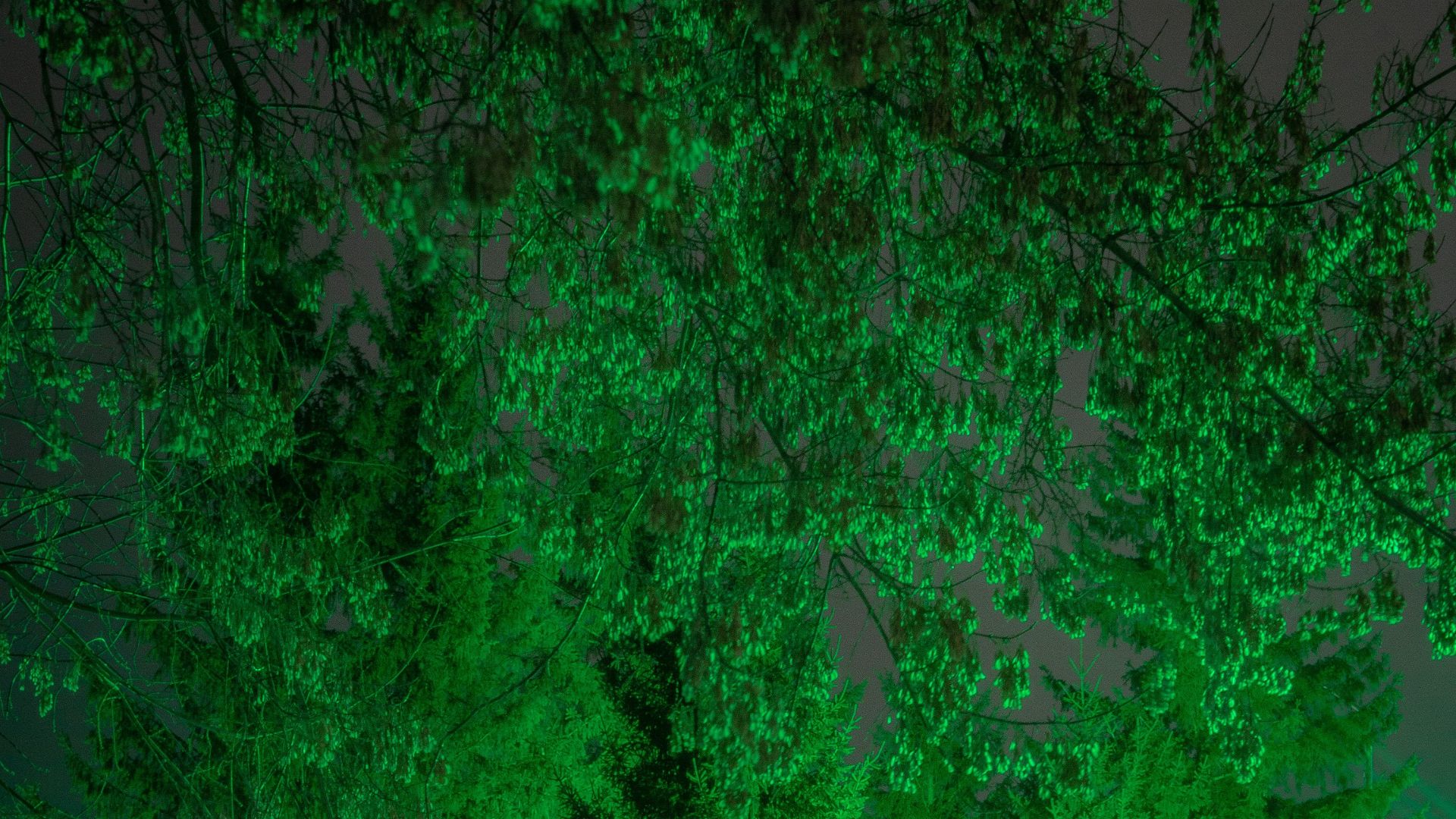 17877567787d1e55f126e600ab69f8bb580b60db6c8aa285fd.jpeg