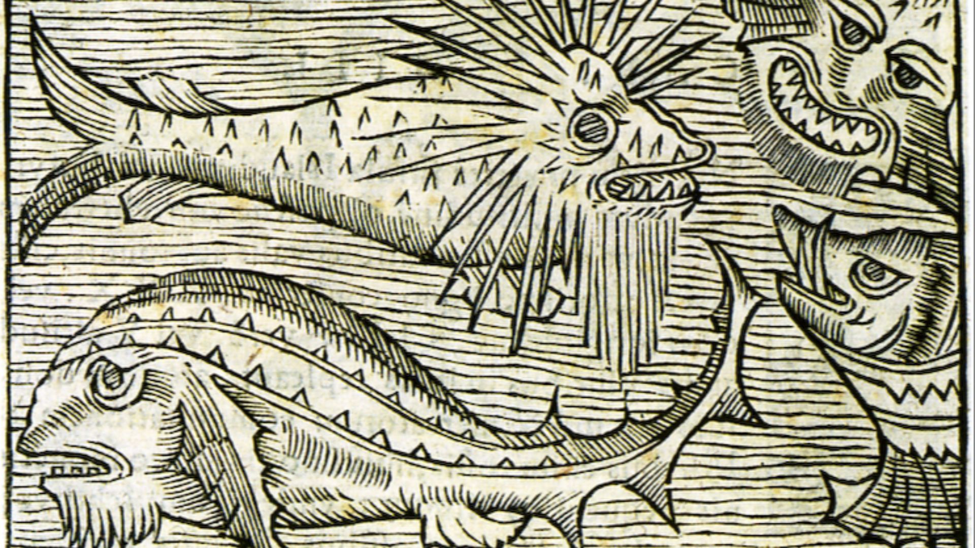 17890533759d37d9c3c09f555e577a6c6884cebf7c0c972c49.jpg