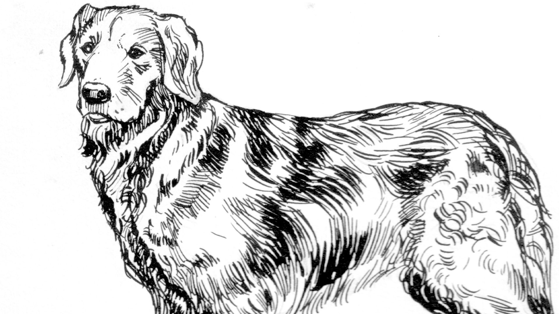 1789495491f14b3d158fca1d9a64df8892e8068e23ddd8923b.png