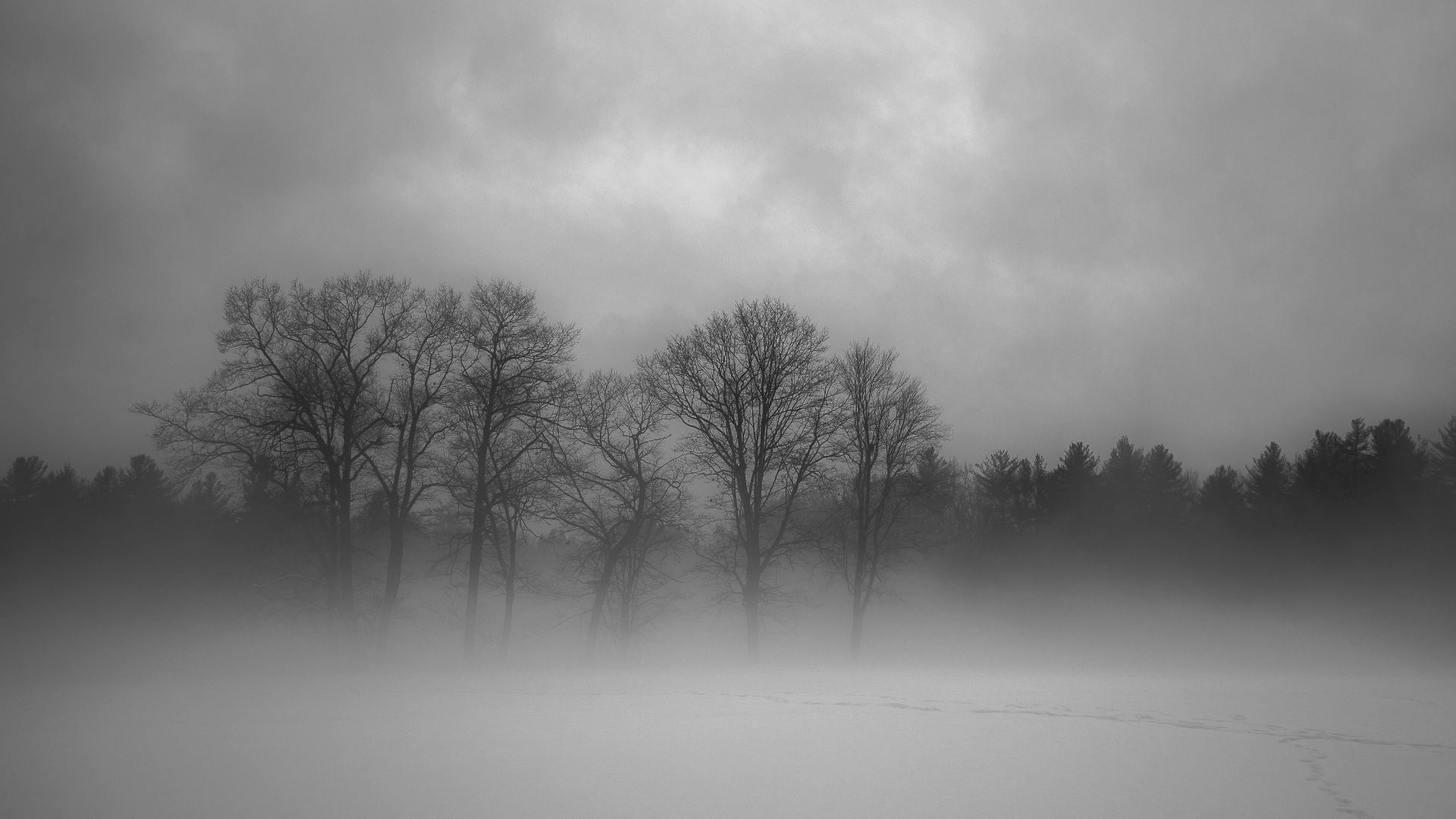 178967035387ab87f5609d9d340cbe4161c53c58455907b58e.jpeg