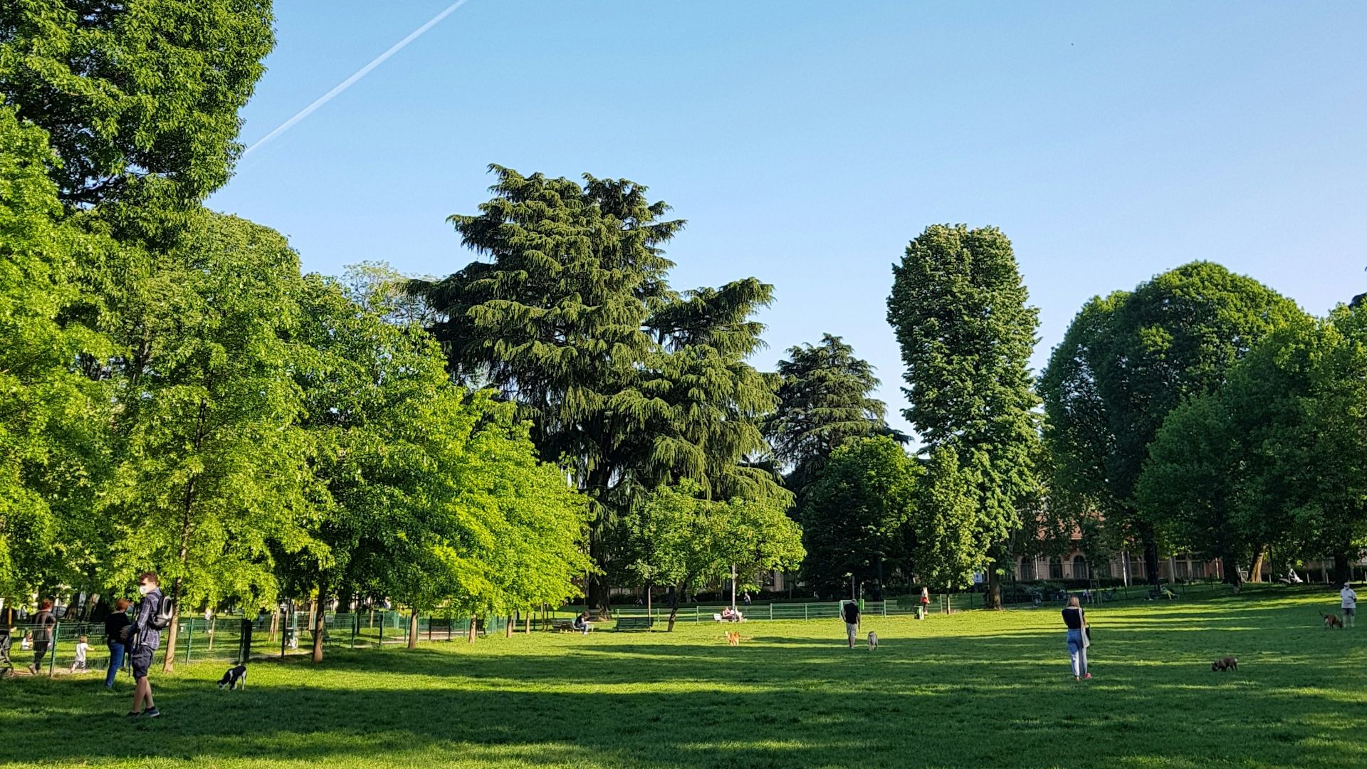 people walking on green grass field near green trees under blue sky during daytime
