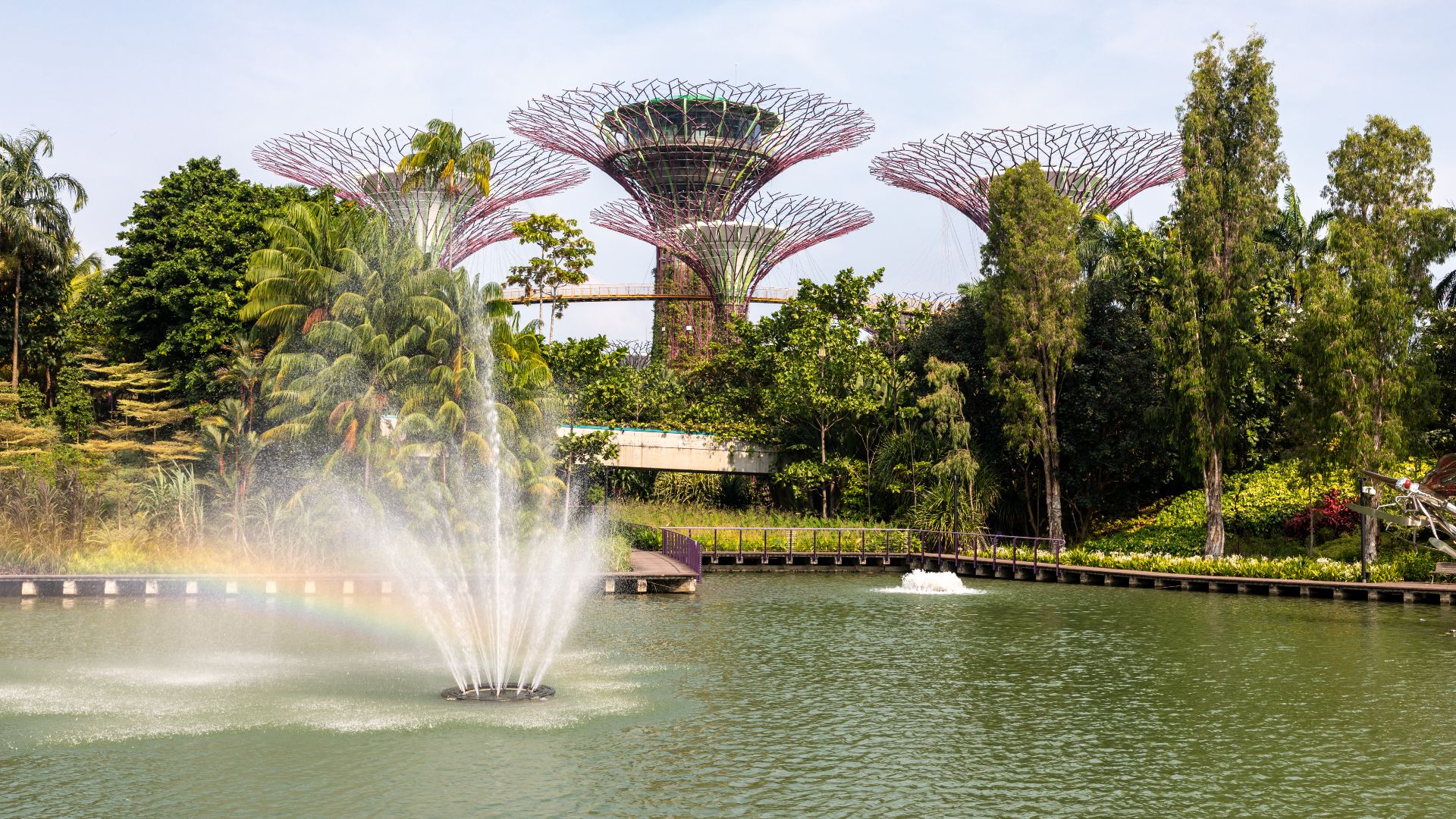 File:Singapore (SG), Gardens By The Bay -- 2019 -- 4755.jpg