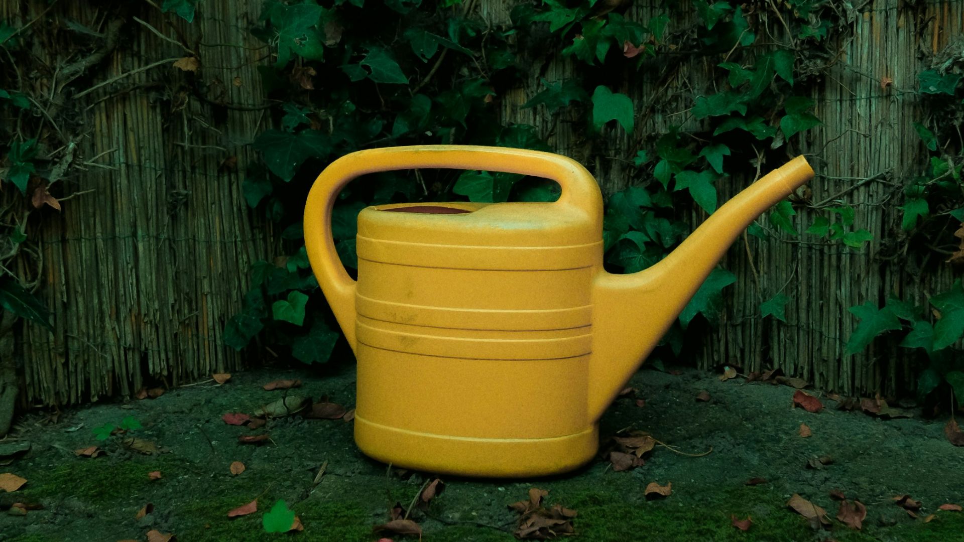 a yellow watering can sitting in the grass