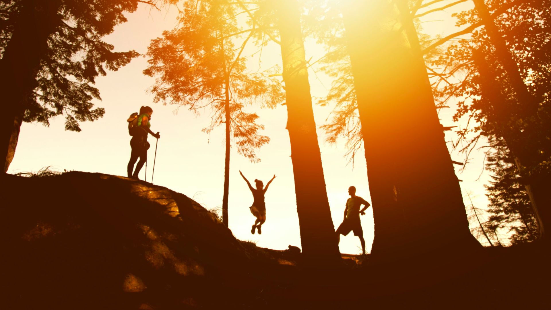 silhouette photo of three person near tall trees