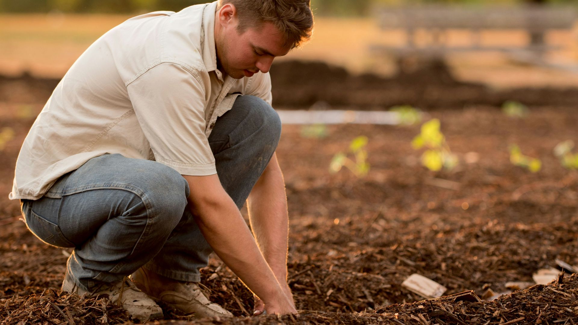 man in white shirt planting at daytime