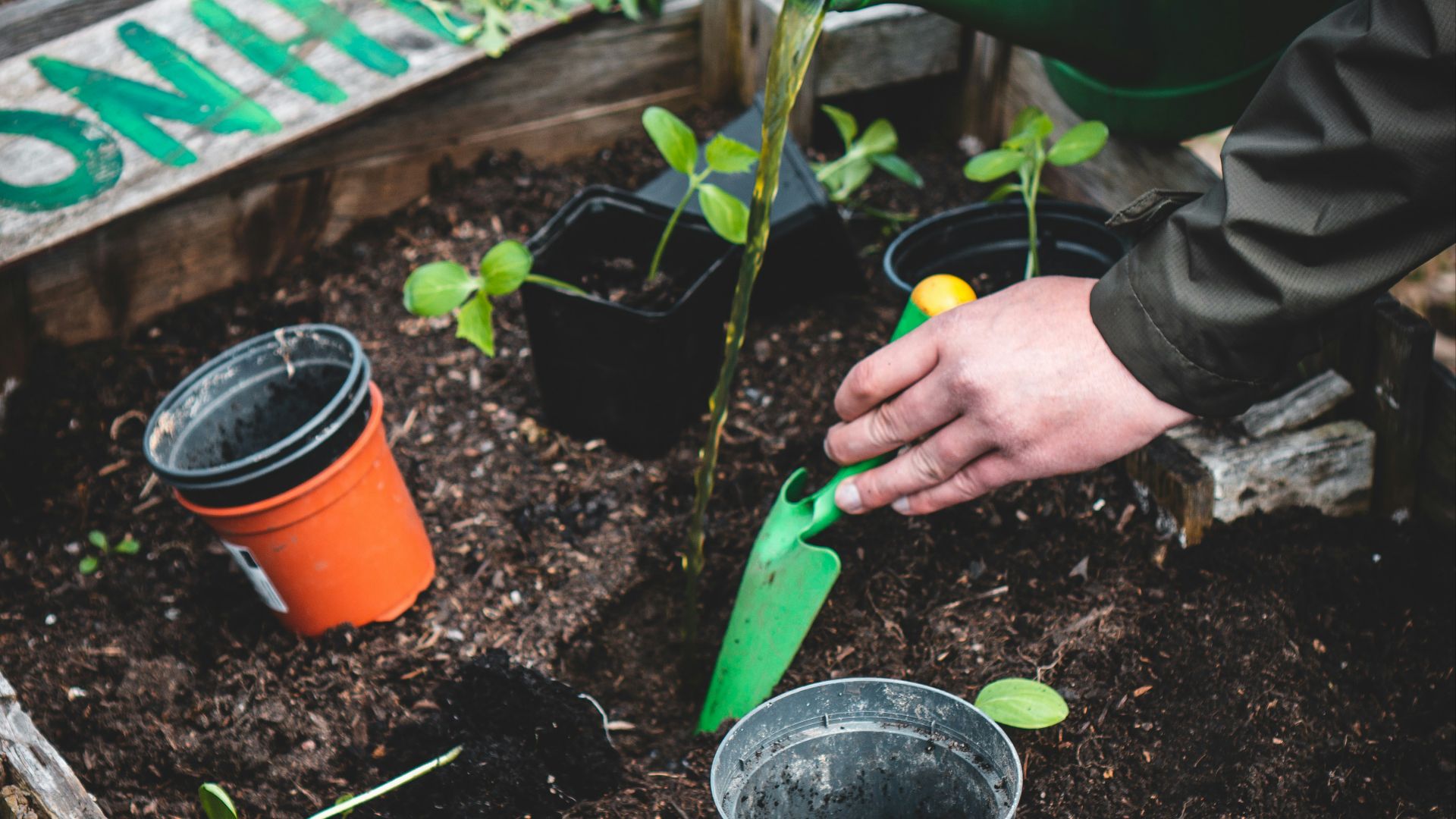 person holding green plastic shovel
