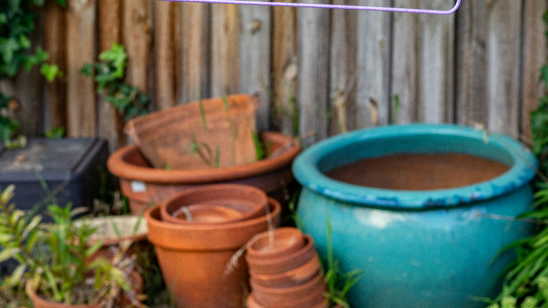 clothes hanger on wire
