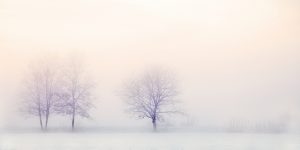 winter-landscape-2571788-300x150.jpg