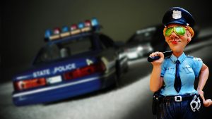 chase-1188030_1920-300x169.jpg