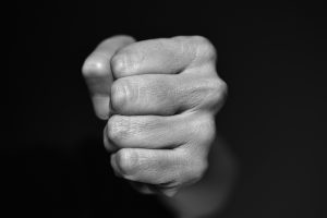 fist-4117726_1920-300x200.jpg