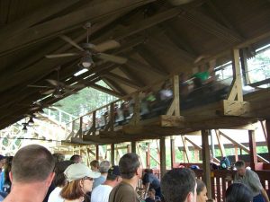 800px-Thunderhead_Dollywood_04-300x225.jpeg