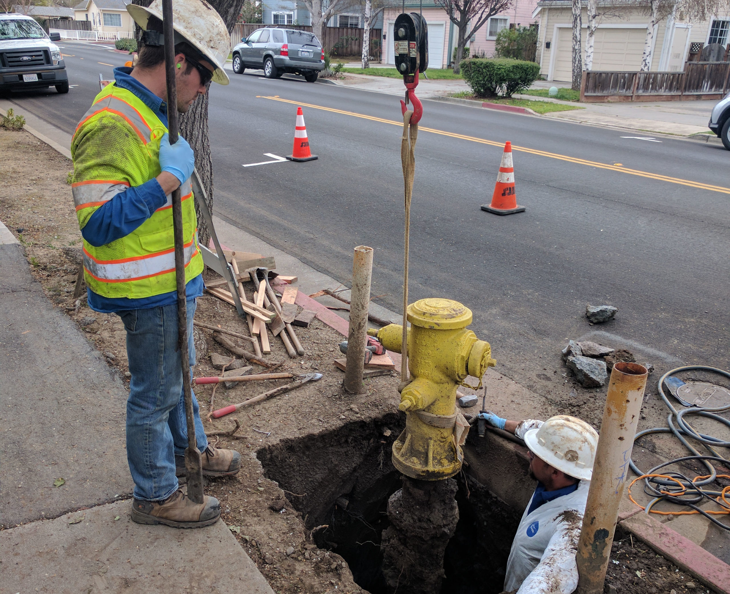 Petty Revenges facts